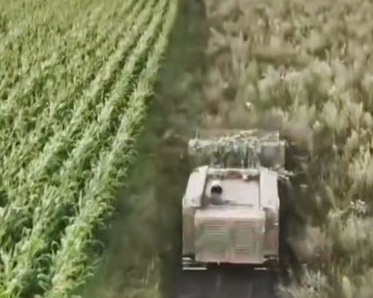     В курском приграничье обезвредили более 14 800 взрывоопасных предметов