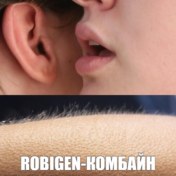 ROBIGEN Комбайн