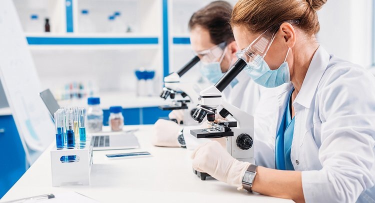    Фото: Пресс-служба ФГБУ «ЦОК АПК» по Алтайскому, Красноярскому краям, Новосибирской и Томской областям