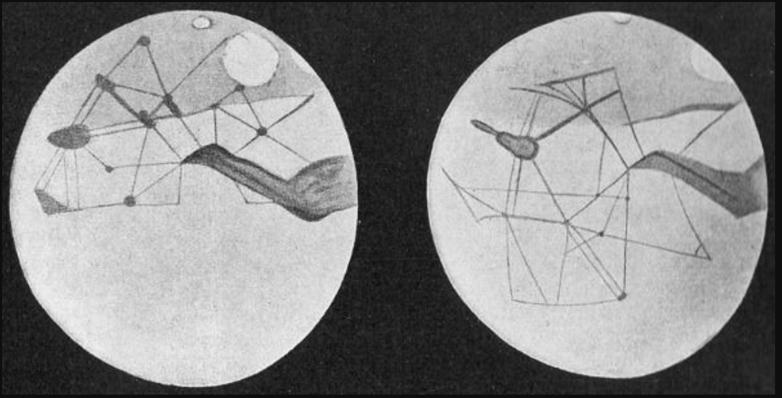Так он это видел