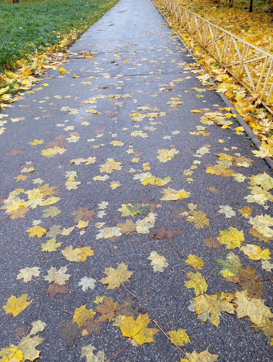 Картина, что рисует осень...