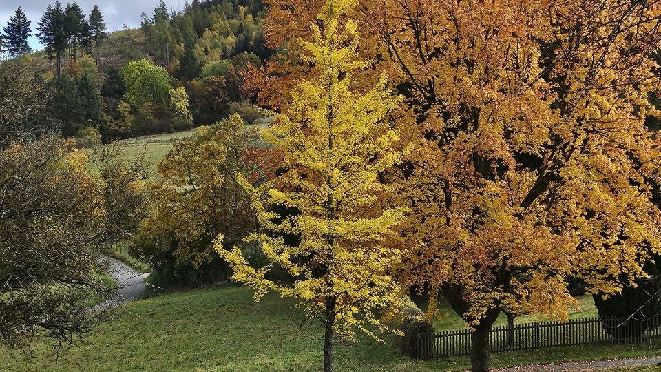 Природа лечит психику фракталами