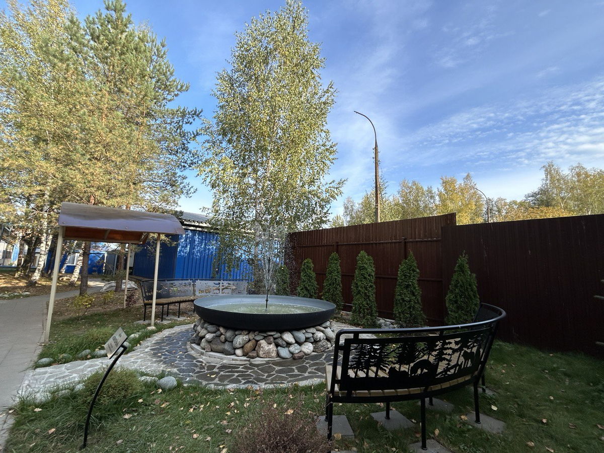 Фонтан в виде чаши становится для Ярославля городским почерком