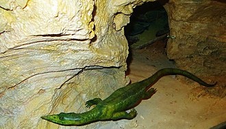 Энденназавр.