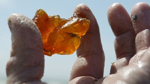    © Sputnik / Игорь Зарембо