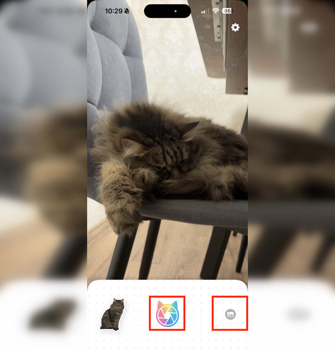    Распознавание работает как через камеру, так и по фото из галереи