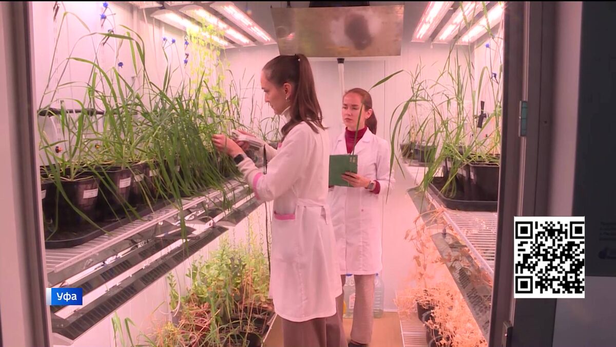    Ведущие биологи страны и зарубежья встретились в Уфе на конференции "Экобиотех-2025"