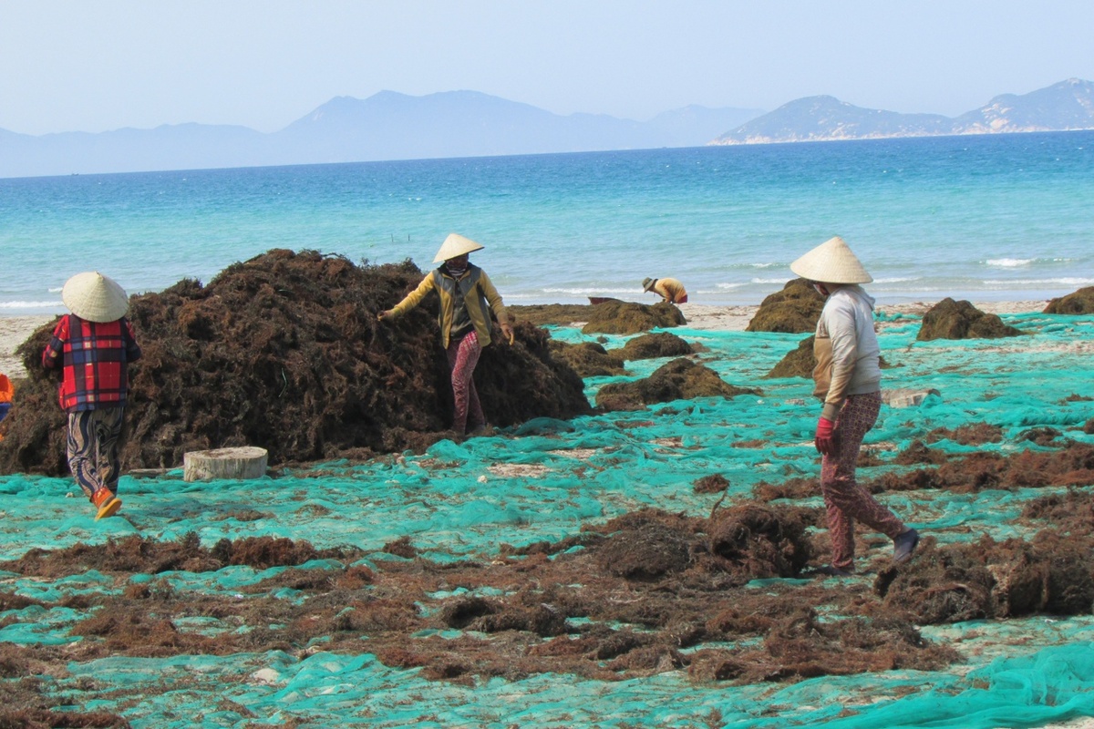Работая на полях, вьетнамцы надевают многослойную одежду, широкие соломенные шляпы (нон) и закрывают лицо специальными тканевыми масками (кан хуа), вовсе не из-за прохлады, а чтобы уберечь кожу от загара и подчеркнуть высокий социальный статус