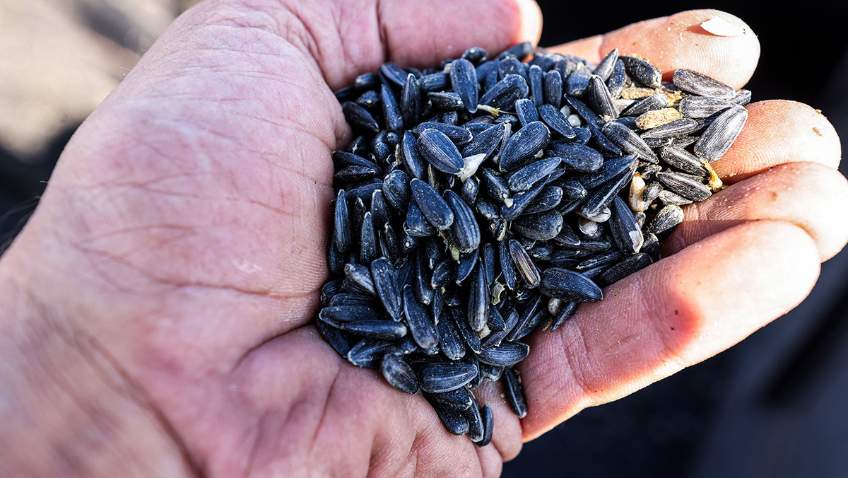   Сергей Мальгавко / ТАСС