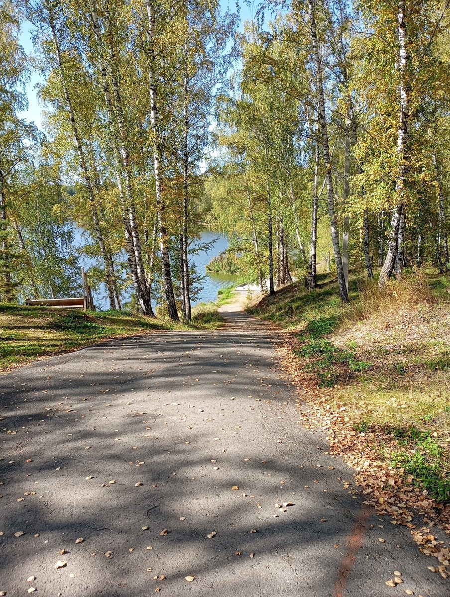 где то в Каменске