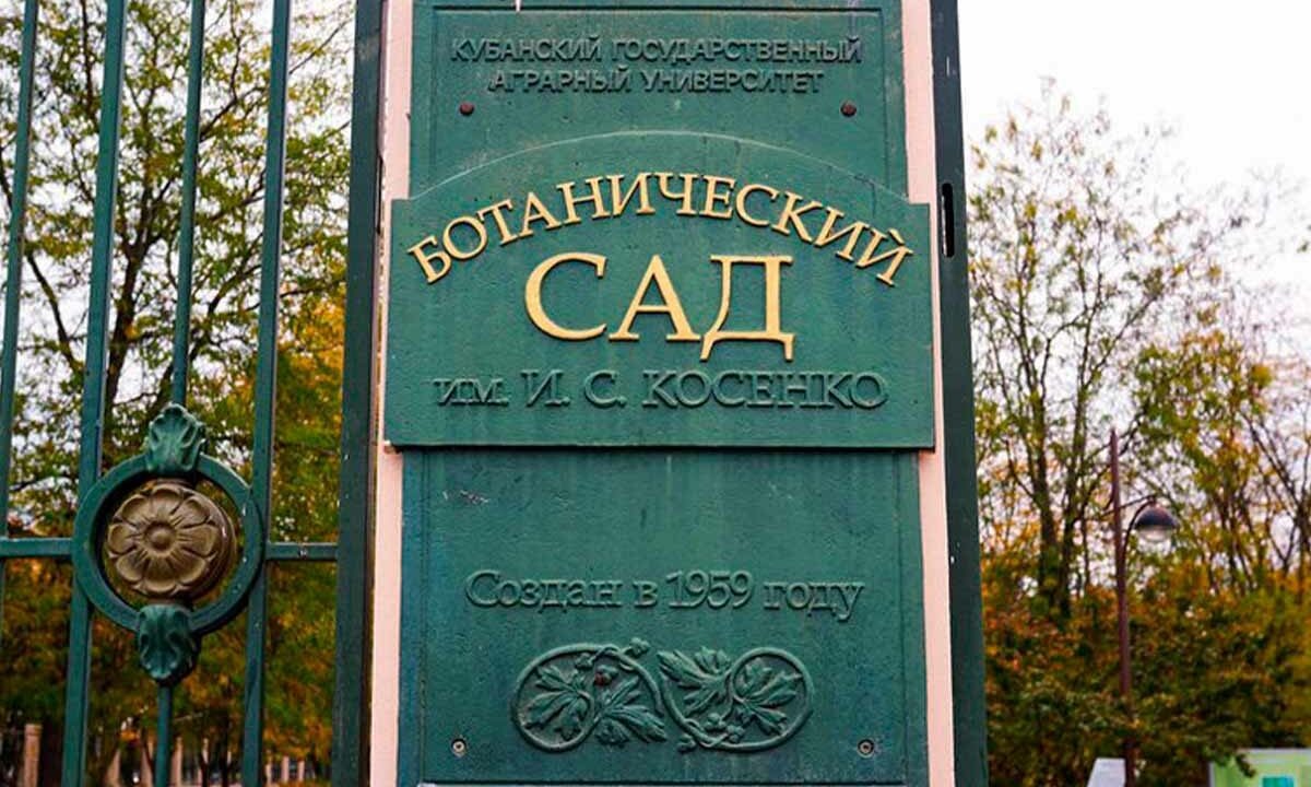    Фото t.me/mcu_krd