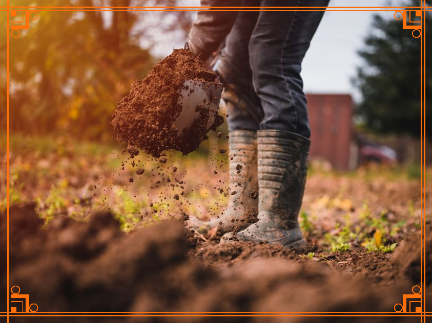 Фото из интернета. Зачем перекапывать огород под зиму