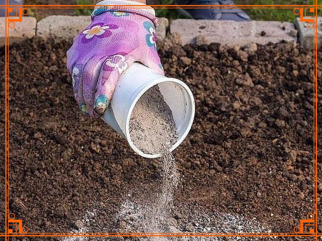 Фото из Интернета. Как правильно перекопать огород под зиму