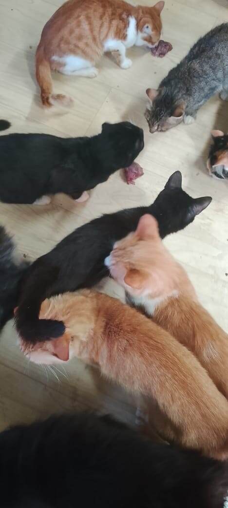 -2-2