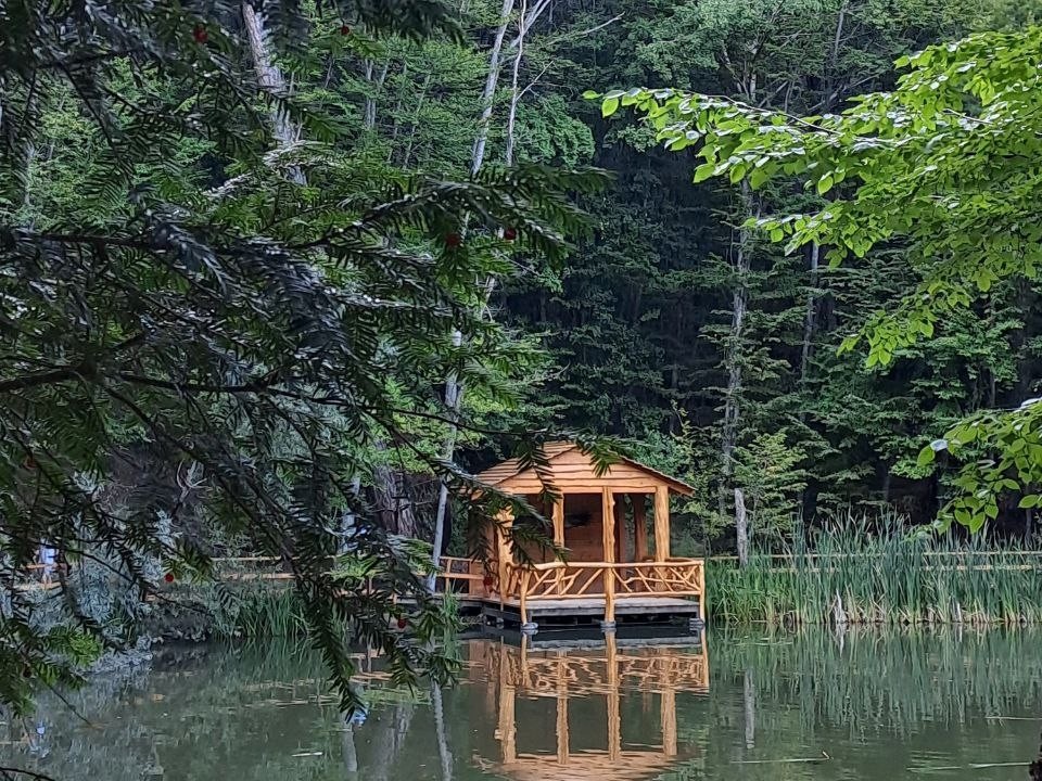 Домик на Черепашьем озере