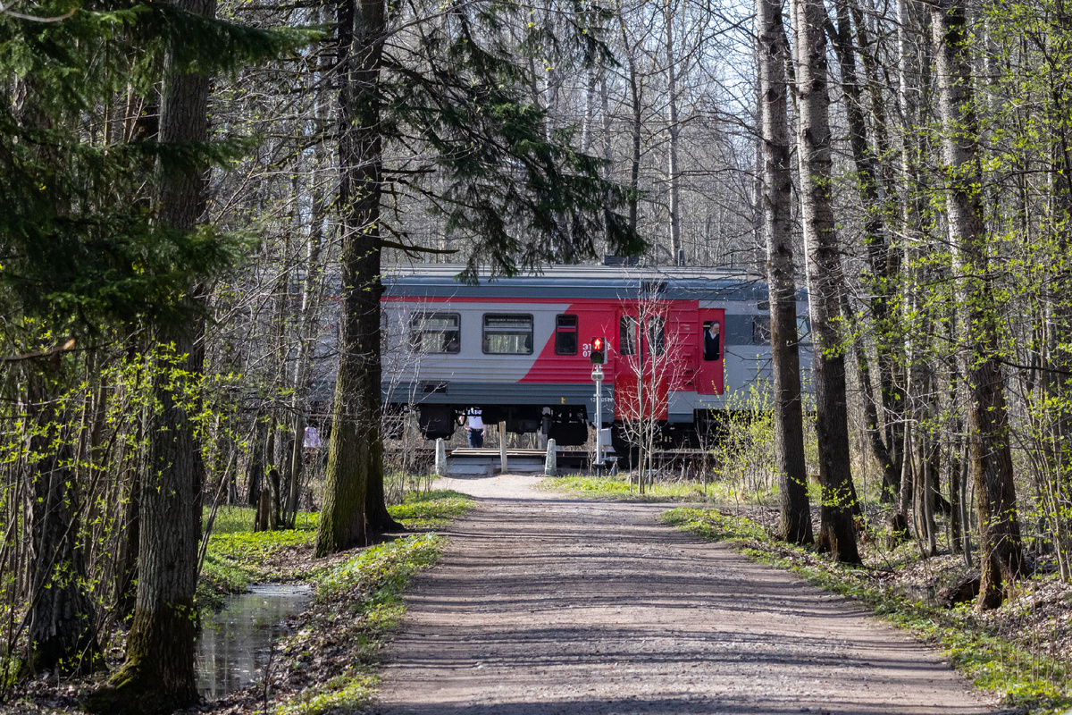 Дмитрий Фуфаев/«Петербургский дневник»
