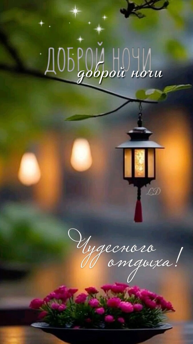 Фото интернета