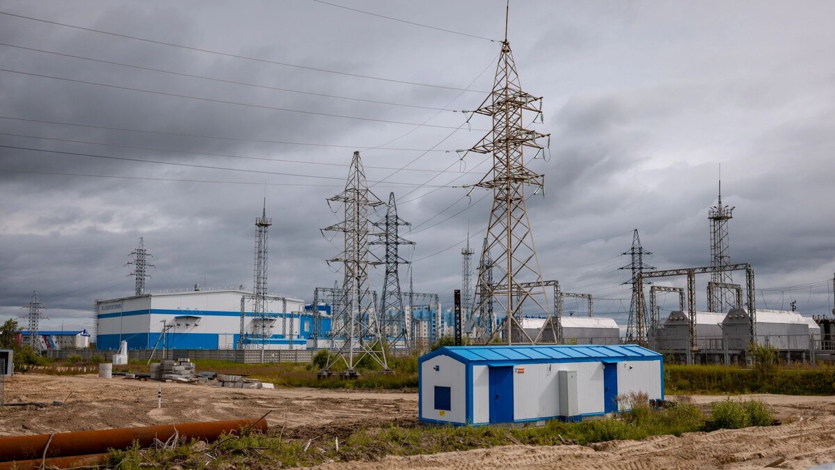    Фото: Сергей Зубков / «Ямал-Медиа»