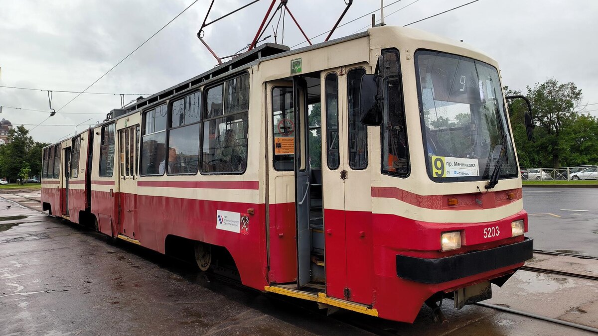    Фото: Maksim Konstantinov/globallookpress.com