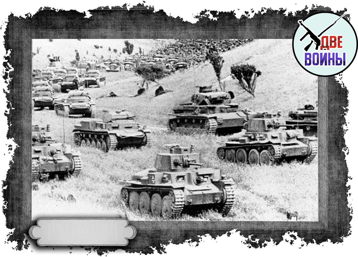 Фото в свободном доступе.