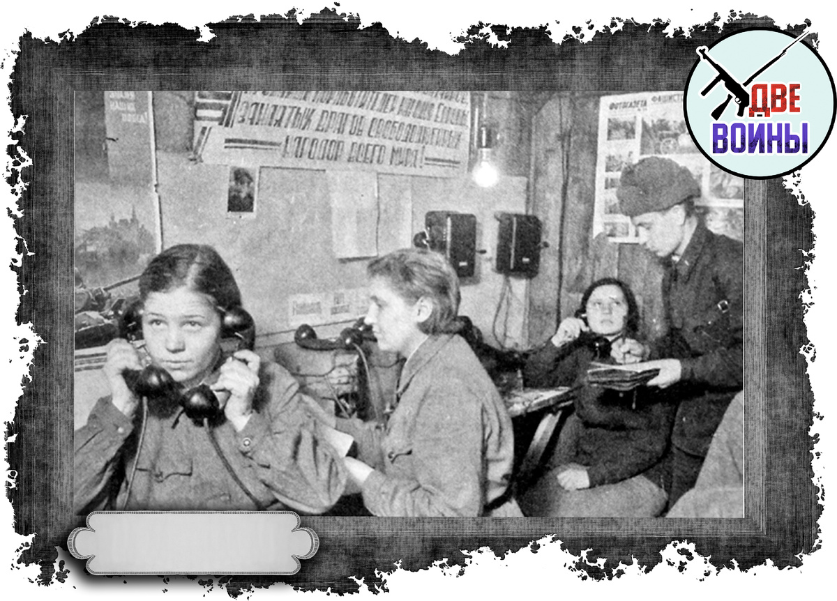 Фото в свободном доступе.