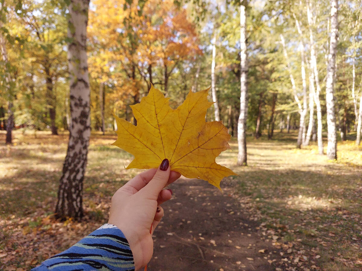    Автор фото: Семен Ракшин
