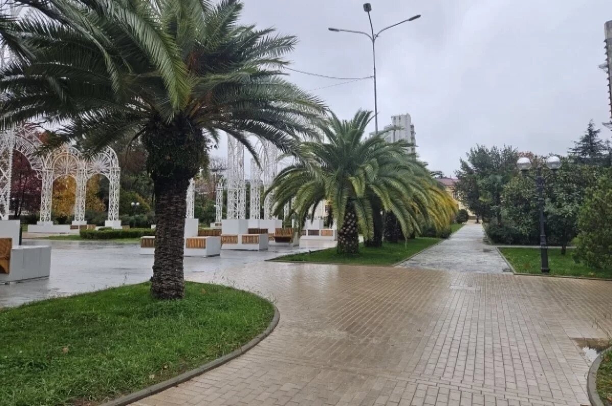    Между Москвой и Сочи начнет курсировать туристический поезд «На Юг»