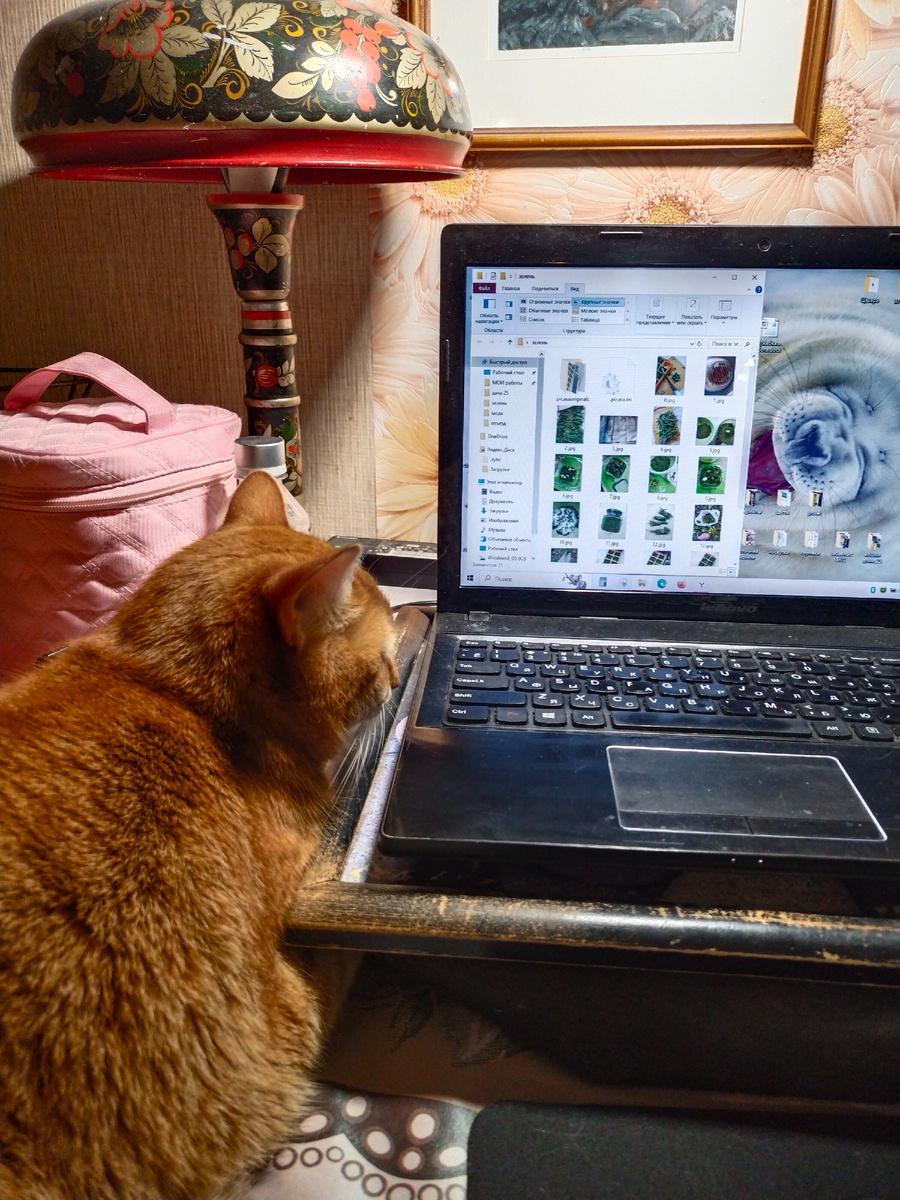 Вот котик. Ну не пугать же вас тем ужасом!😁