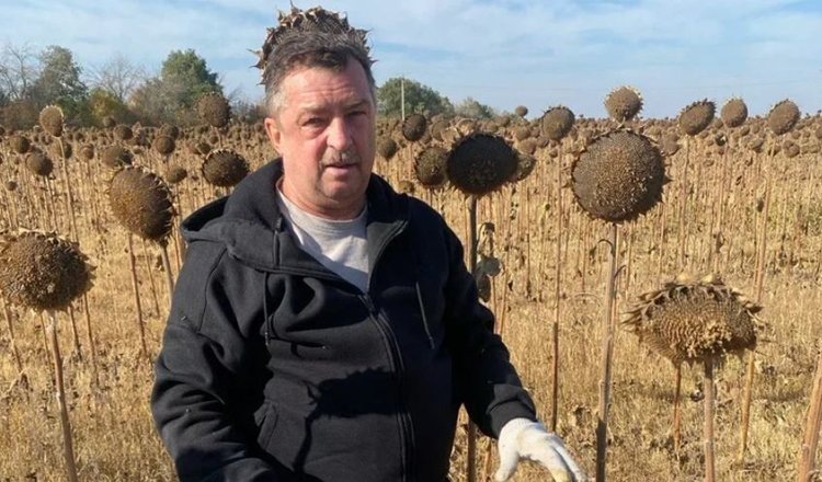    Фото: Служба по связям с общественностью филиала «Донецкий» Российского сельскохозяйственного центра