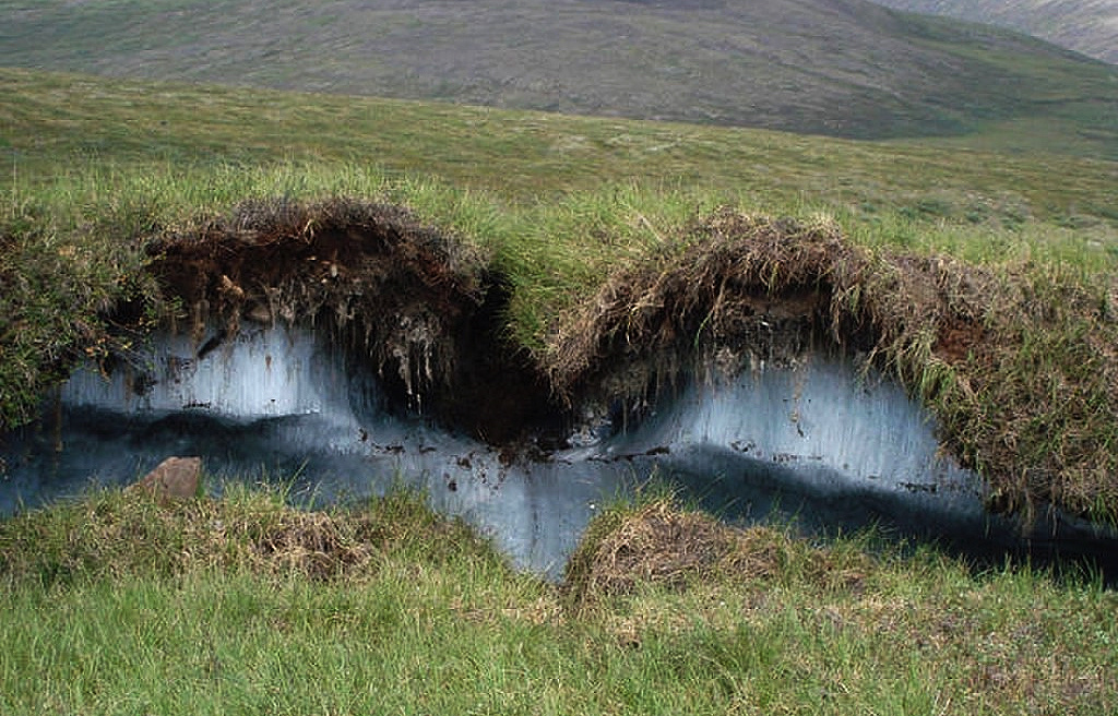 2.1. Иллюстрации из открытых источников.