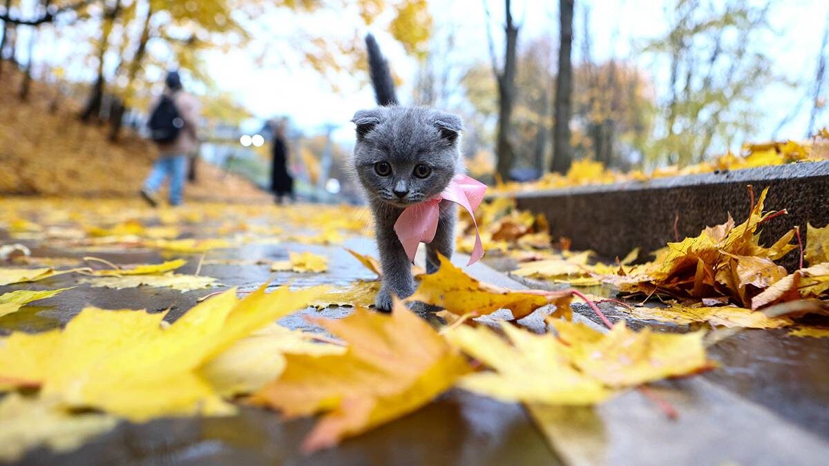    Фото: Ярослав Чингаев / АГН Москва