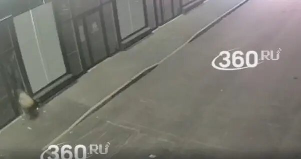    Фото: скриншот из видео 360.ru