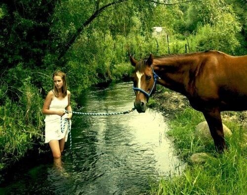 У кромки воды