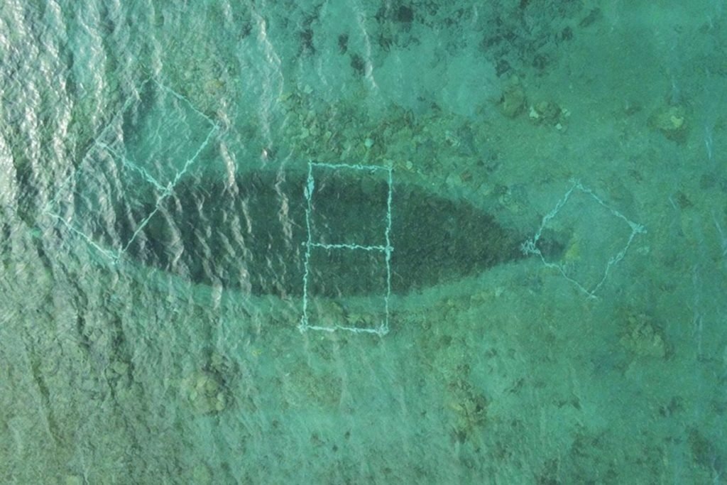 Фото: planet-today.ru📷
