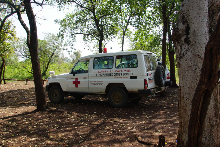    Shutterstock/FOTODOM