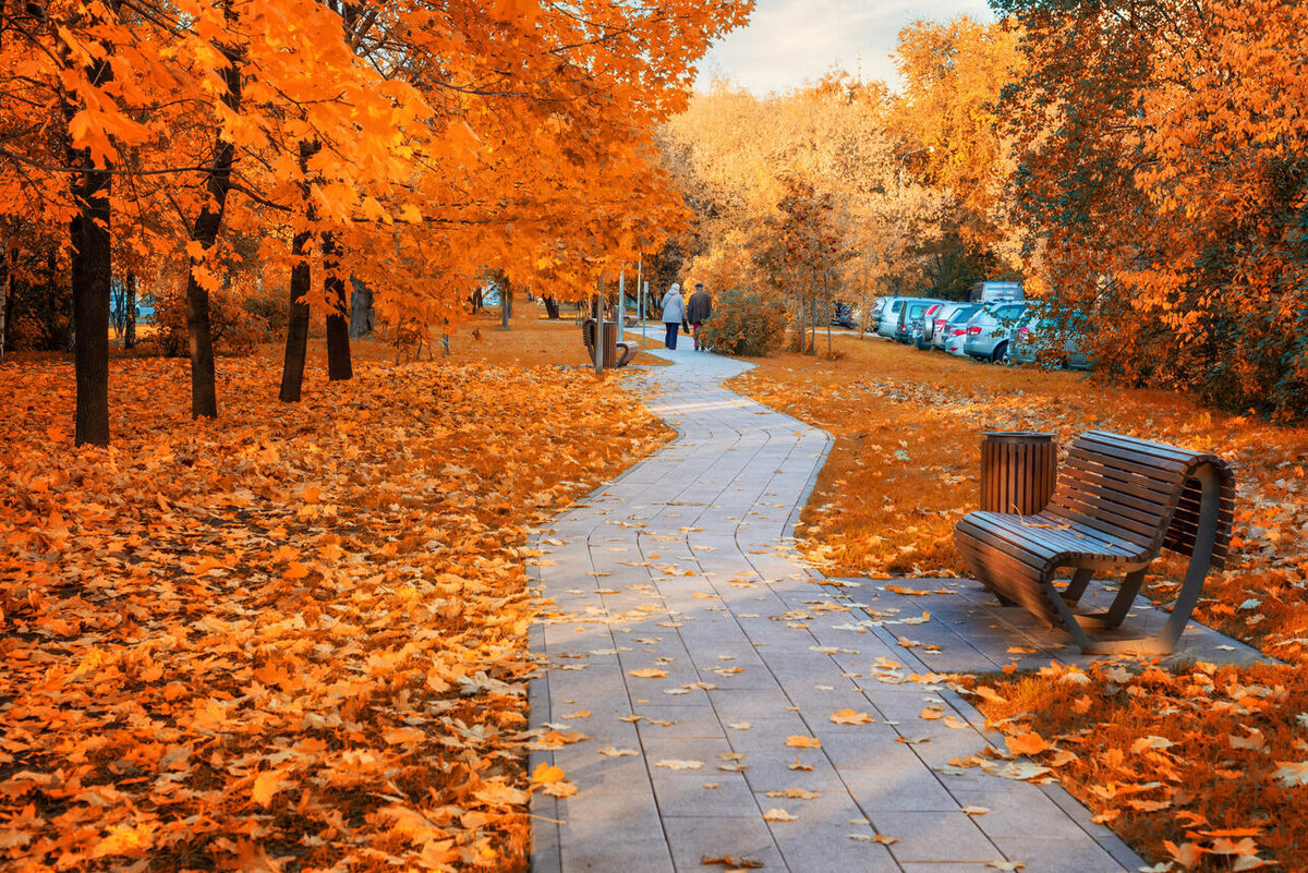    Осень 123RF/legion-media.ru