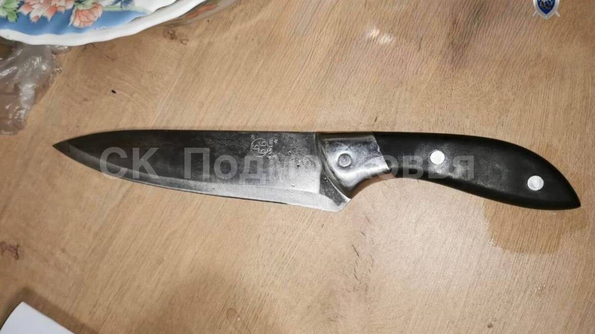    Фото: пресс-служба Следственного комитета России по Московской области / Telegram