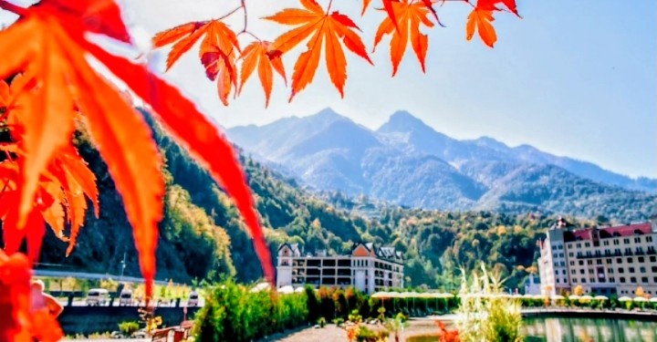 Картинка из интернета 