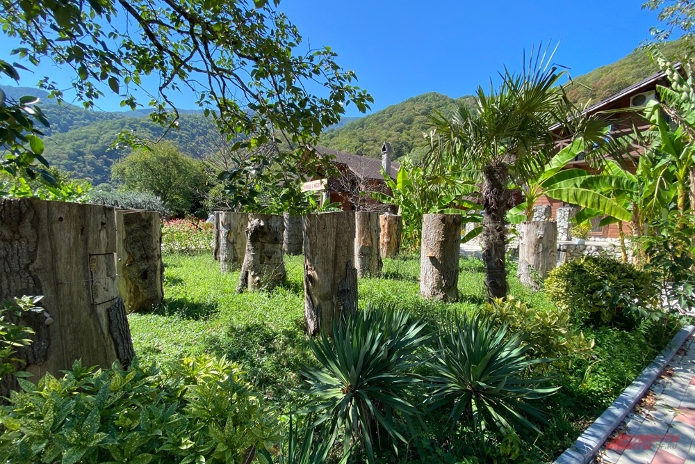    В этот день пчёл активно готовили к зимовке. Фото: АиФ/ Георгий Зотов