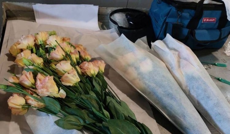    Фото: Приморское межрегиональное управление Россельхознадзора