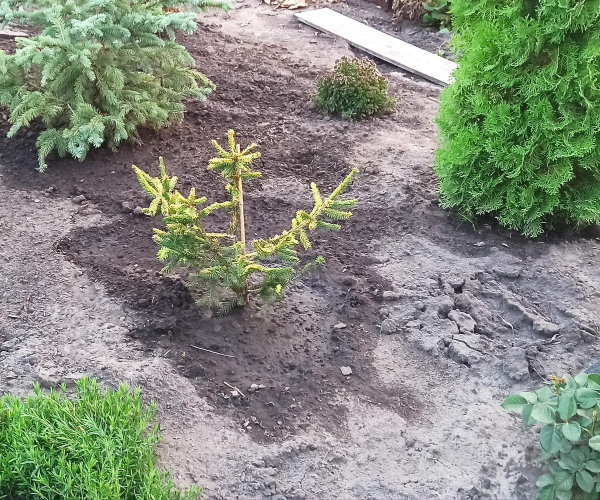 Август 2023, чуть позже она переехала в другую часть рокария)