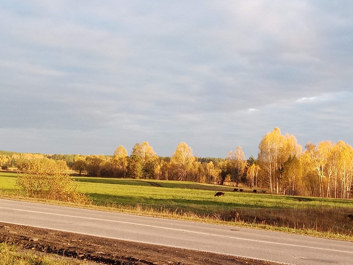 Фото из архива автора 