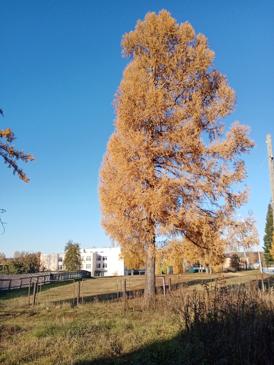 Фото из архива автора 