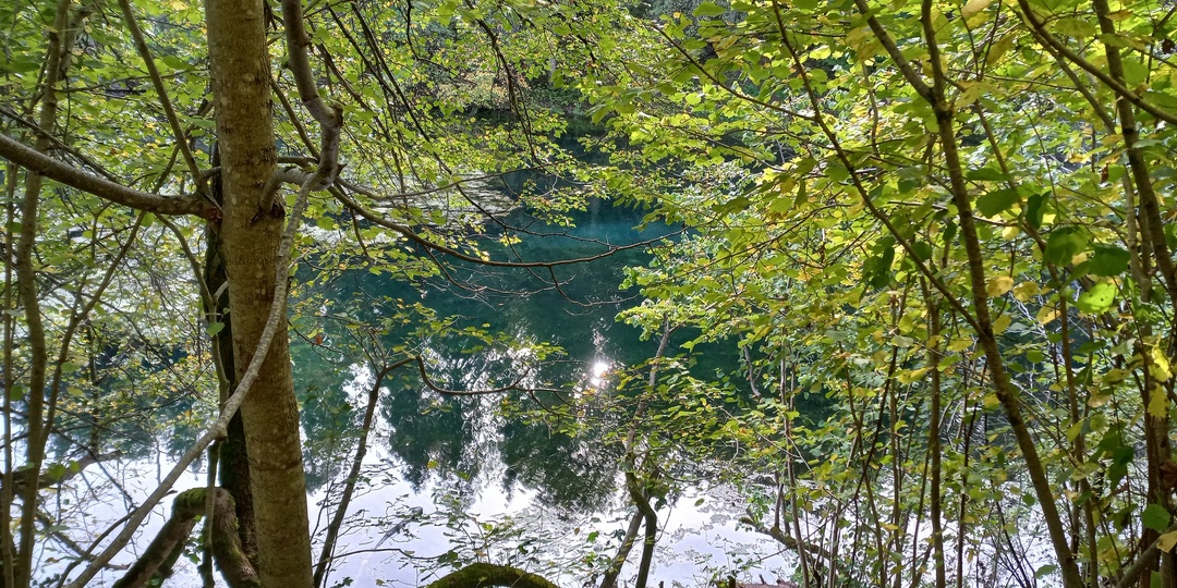 Правда ли, что в 60 км от Петербурга есть своя «Швейцария с висящими на скалах рощами и садами»? Гуляем по экотропе «Радоновые озёра»