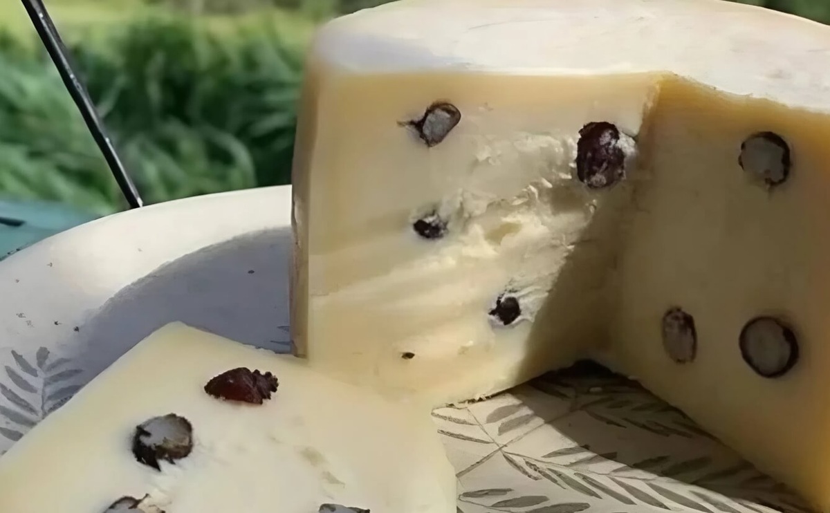    Сыр с муравьями был придуман в Бразилии и считается очень вкусным. Источник фотографии: odditycentral.com