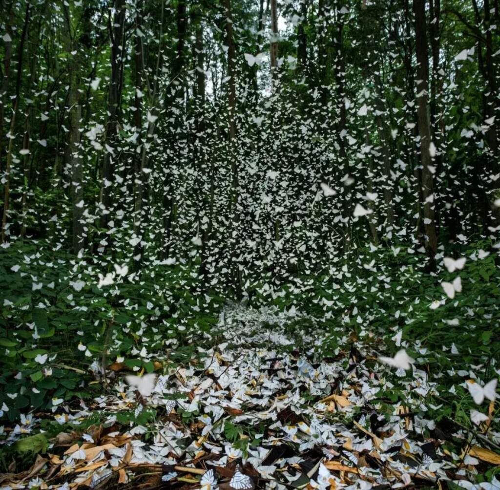    Фотография сгенерирована нейросетью