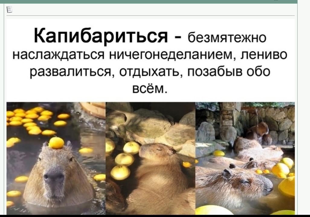 Вот так я второй день копибарюсь