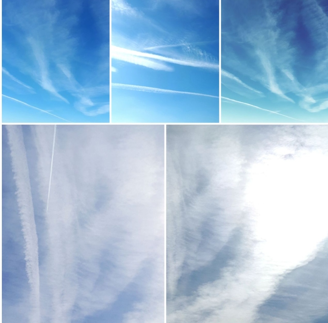 Коллаж автора 01.10.2025г.