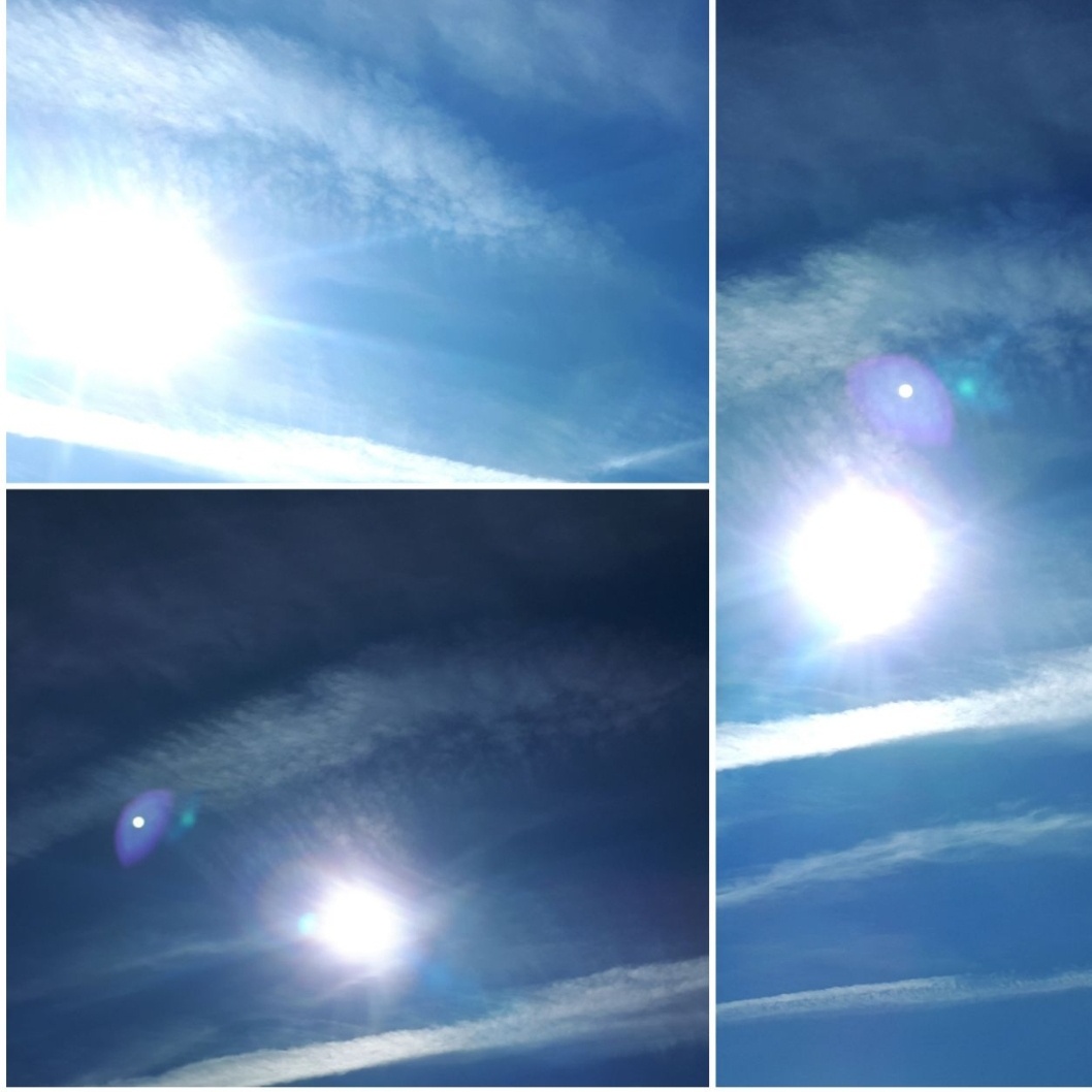 Коллаж автора 01.10.2025г.