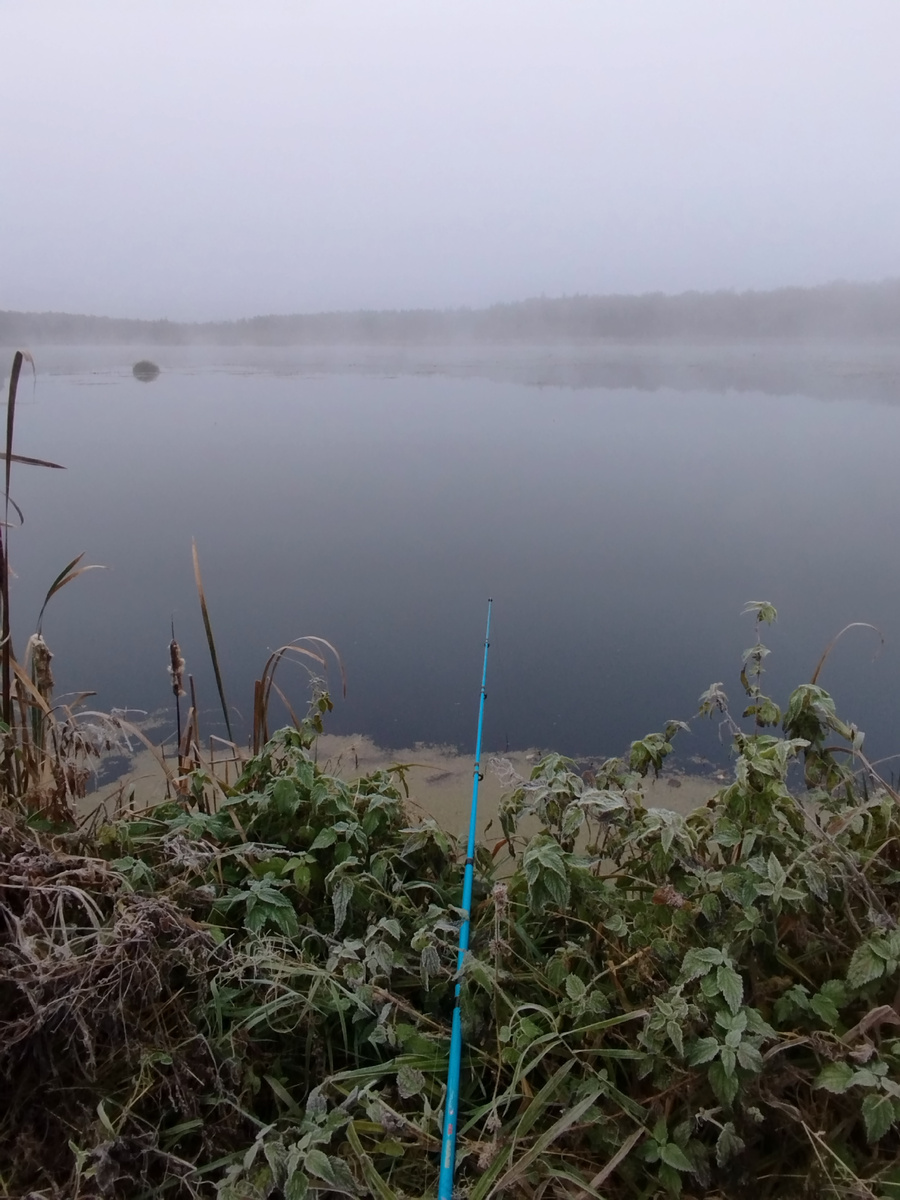 Утро туманное.